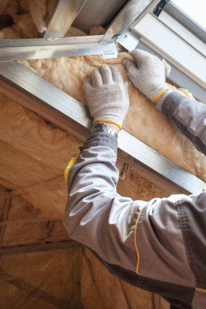 Best Insulation Removal  in Tucson Estates, AZ