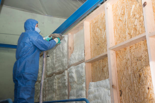 Best Fiberglass Insulation  in Tucson Estates, AZ